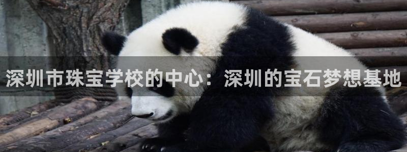 众腾娱乐蚀 7O935:深圳市珠宝学校的中心:深圳的宝石梦想