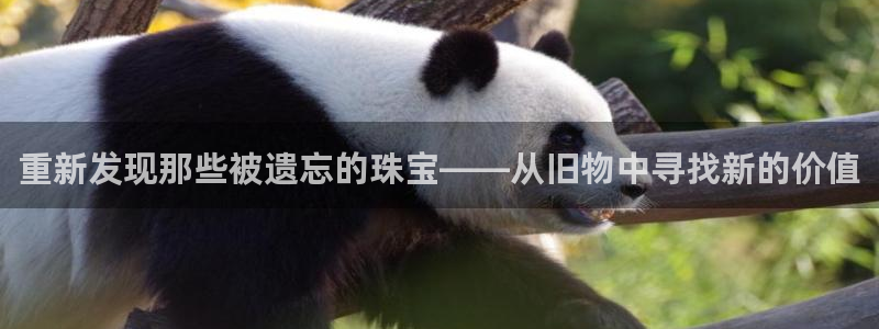 腾耀娱乐29999出众:重新发现那些被遗忘的珠宝——从旧物中