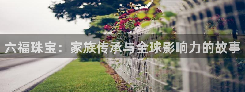 众腾娱乐毕 7O935:六福珠宝:家族传承与全球影响力的故事