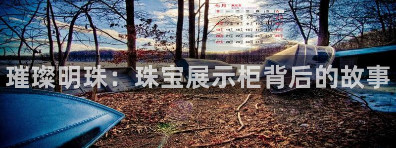 腾众竞技娱乐:璀璨明珠:珠宝展示柜背后的故事