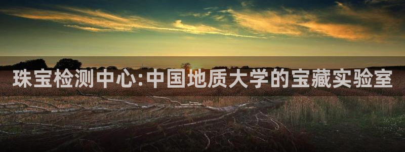 彝族自治州众腾娱乐:珠宝检测中心:中国地质大学的宝藏实验室