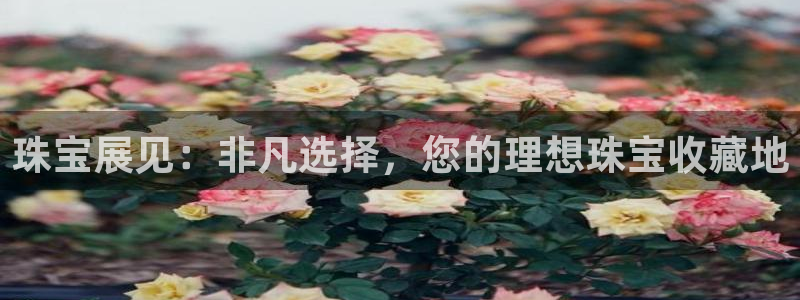 众腾娱乐平台:珠宝展见:非凡选择,您的理想珠宝收藏地