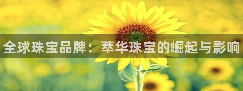 众东腾娱乐客服:全球珠宝品牌:萃华珠宝的崛起与影响