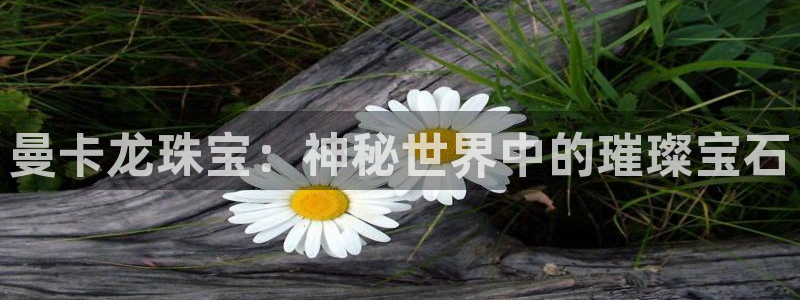 包头众腾娱乐密室逃脱:曼卡龙珠宝:神秘世界中的璀璨宝石