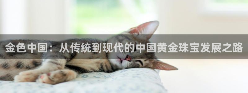 楚雄众腾娱乐是干什么的:金色中国:从传统到现代的中国黄金珠宝