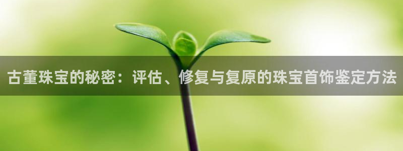 众腾娱乐官方客服电话:古董珠宝的秘密:评估、修复与复原的珠宝