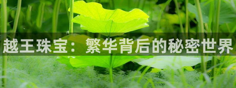 众腾娱乐登入探索无限空间:越王珠宝:繁华背后的秘密世界
