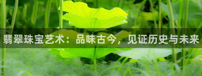 众腾娱乐公司简介:翡翠珠宝艺术:品味古今,见证历史与未来