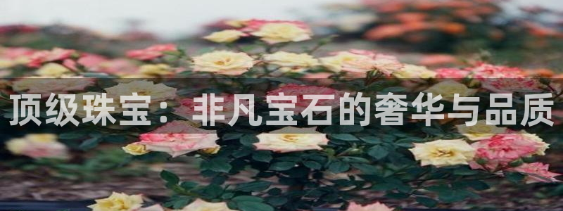腾众娱乐彩票:顶级珠宝:非凡宝石的奢华与品质