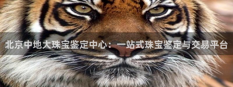 众腾娱乐:北京中地大珠宝鉴定中心:一站式珠宝鉴定与交易平台